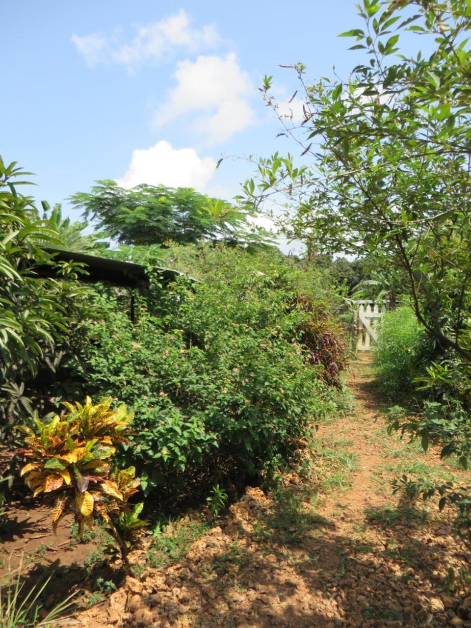 Bahati Diani House Glamping Diani Beach Bagian luar foto