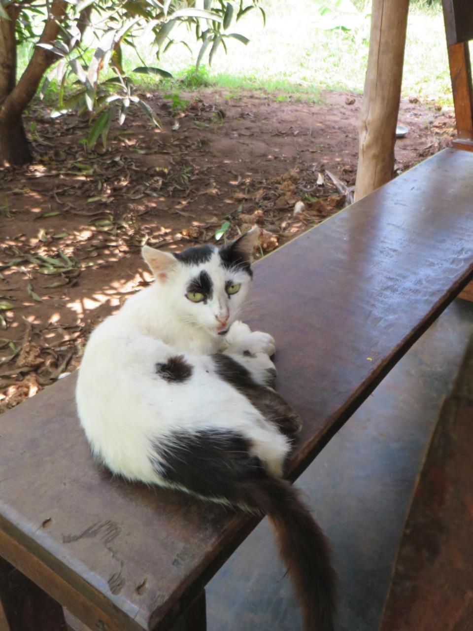 Bahati Diani House Glamping Diani Beach Bagian luar foto
