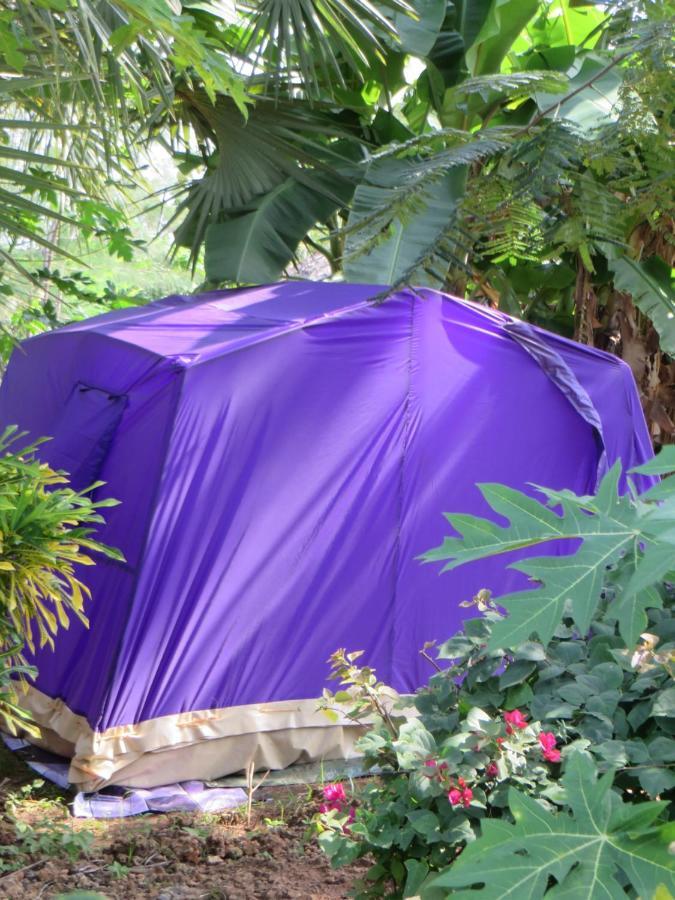 Bahati Diani House Glamping Diani Beach Bagian luar foto
